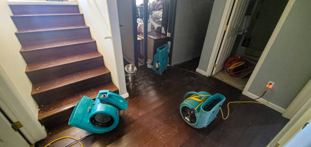 Best Mold removal after water damage  in Dortches, NC