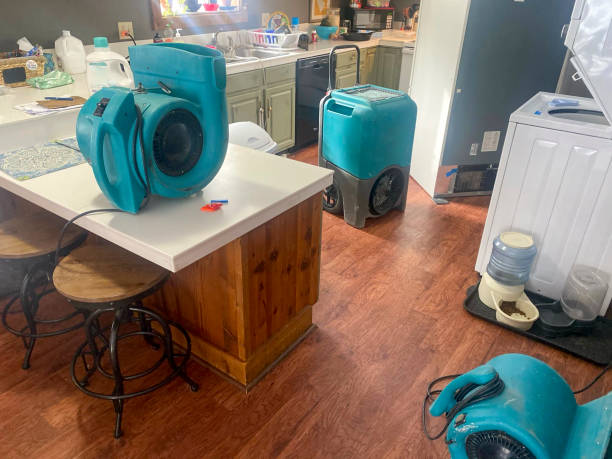 Best Sewage cleanup and water damage restoration  in Dortches, NC