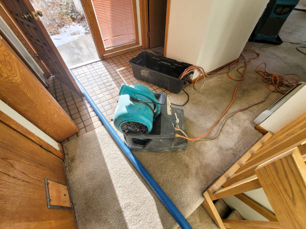  Dortches, NC Water damage restoration Pros