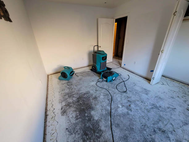 Best Ceiling water damage repair  in Dortches, NC