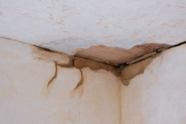 Best Flood damage cleanup  in Dortches, NC