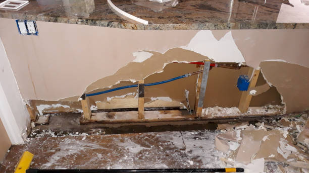Best Water damage cleanup near me  in Dortches, NC