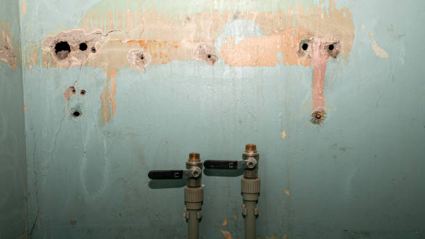 Best Water damage restoration near me  in Dortches, NC