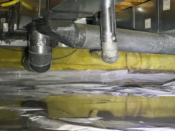 Best Carpet water damage restoration  in Dortches, NC