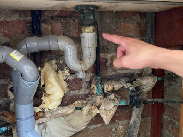 Best Local water damage restoration  in Dortches, NC