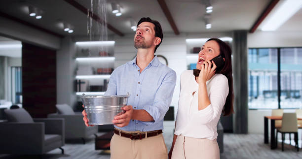 Best Commercial water damage restoration  in Dortches, NC