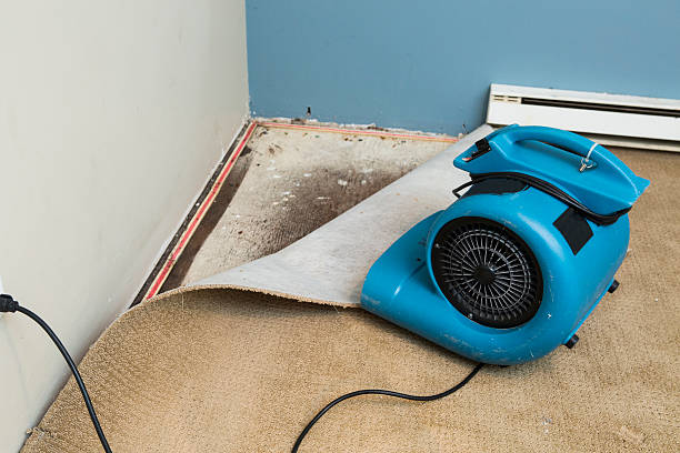 Best Fire Damage Restoration  in Dortches, NC